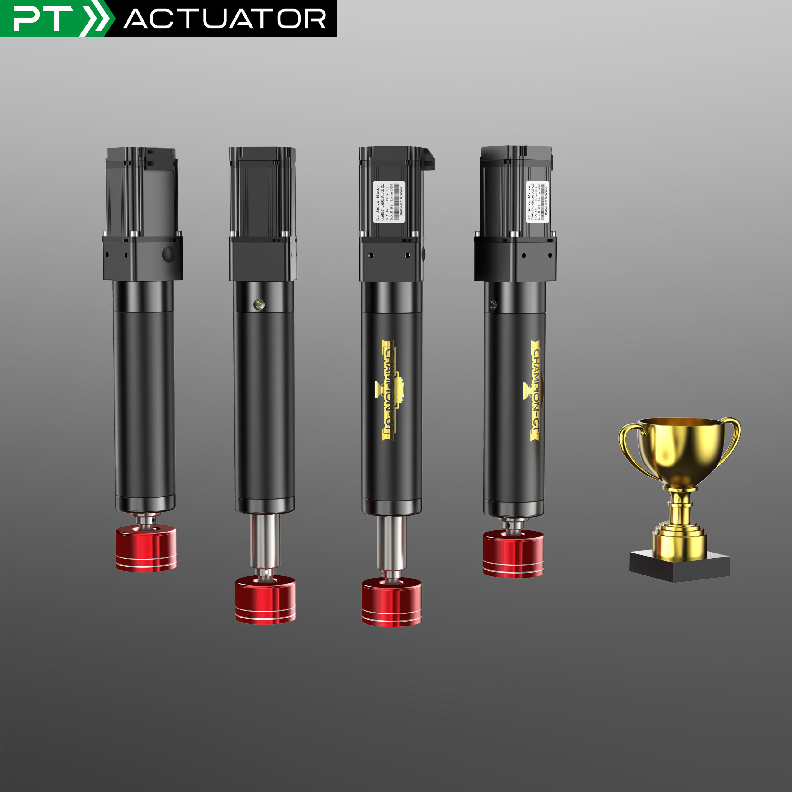 Champion Sports Kit